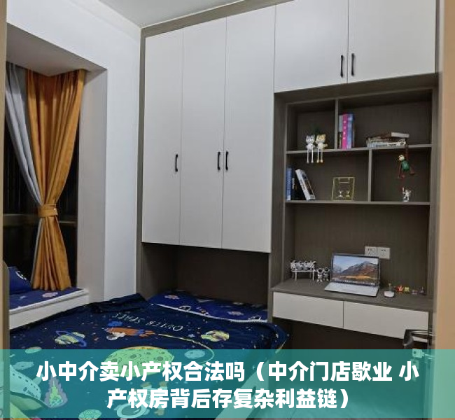 小中介卖小产权合法吗（中介门店歇业 小产权房背后存复杂利益链）