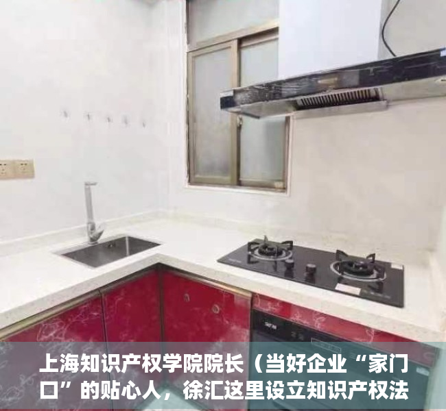 上海知识产权学院院长（当好企业“家门口”的贴心人，徐汇这里设立知识产权法官工作站）