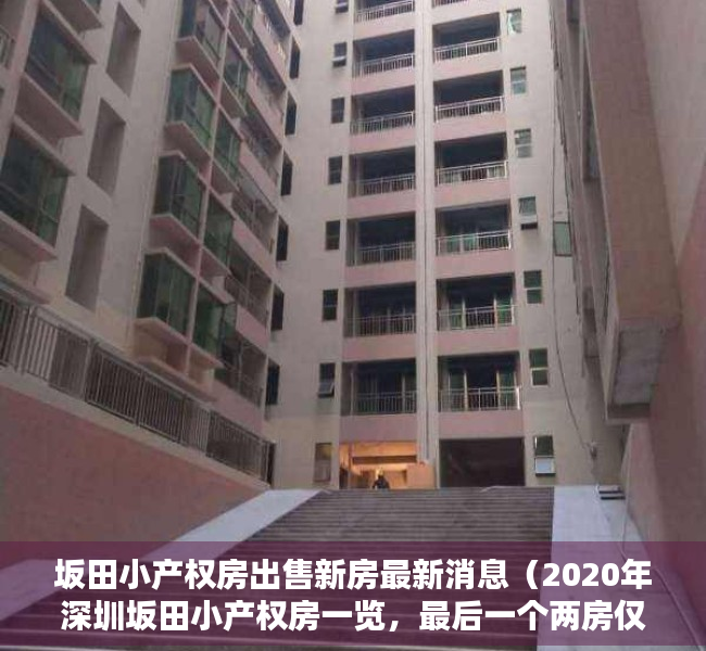 坂田小产权房出售新房最新消息（2020年深圳坂田小产权房一览，最后一个两房仅50万！）