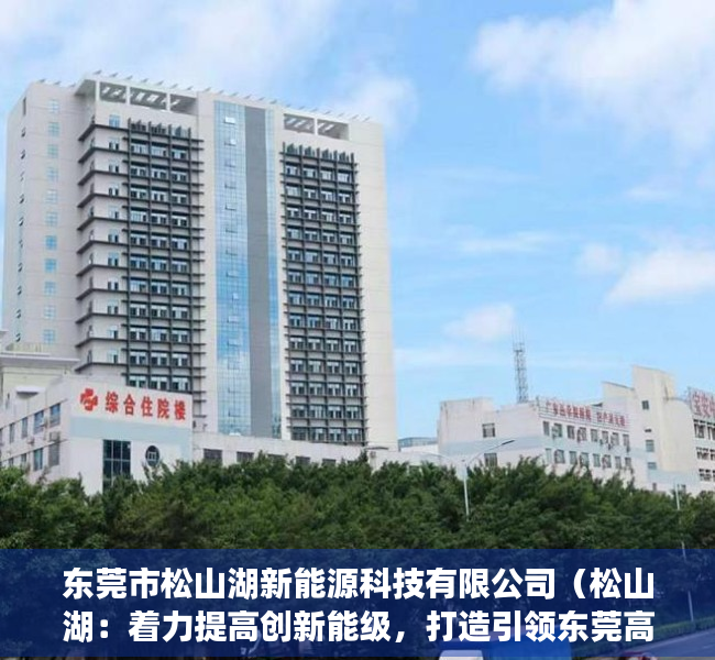东莞市松山湖新能源科技有限公司（松山湖：着力提高创新能级，打造引领东莞高质量发展核心引擎）