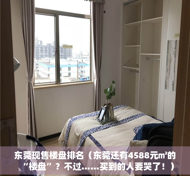 东莞现售楼盘排名（东莞还有4588元㎡的“楼盘”？不过……买到的人要哭了！）