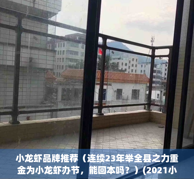 小龙虾品牌推荐（连续23年举全县之力重金为小龙虾办节，能回本吗？）(2021小龙虾)