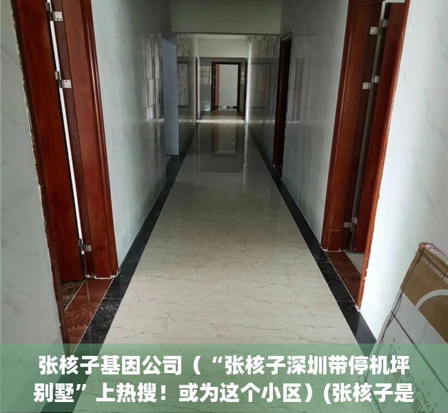 张核子基因公司（“张核子深圳带停机坪别墅”上热搜！或为这个小区）(张核子是哪里人)