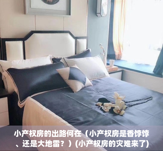 小产权房的出路何在（小产权房是香饽饽、还是大地雷？）(小产权房的灾难来了)