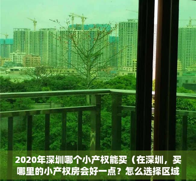 2020年深圳哪个小产权能买（在深圳，买哪里的小产权房会好一点？怎么选择区域？）