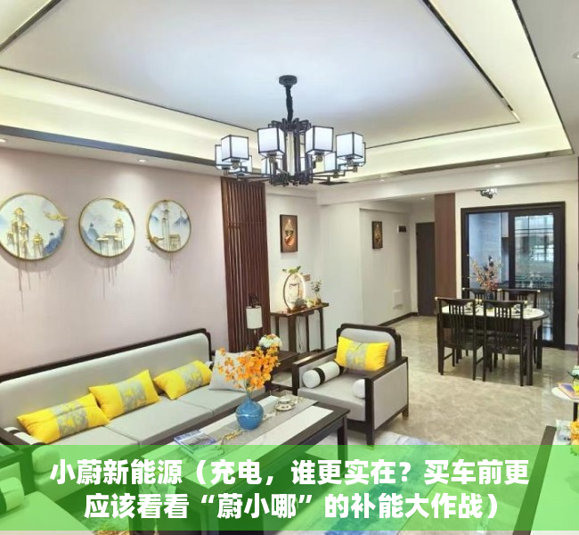 小蔚新能源（充电，谁更实在？买车前更应该看看“蔚小哪”的补能大作战）
