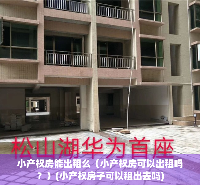 小产权房能出租么（小产权房可以出租吗？）(小产权房子可以租出去吗)