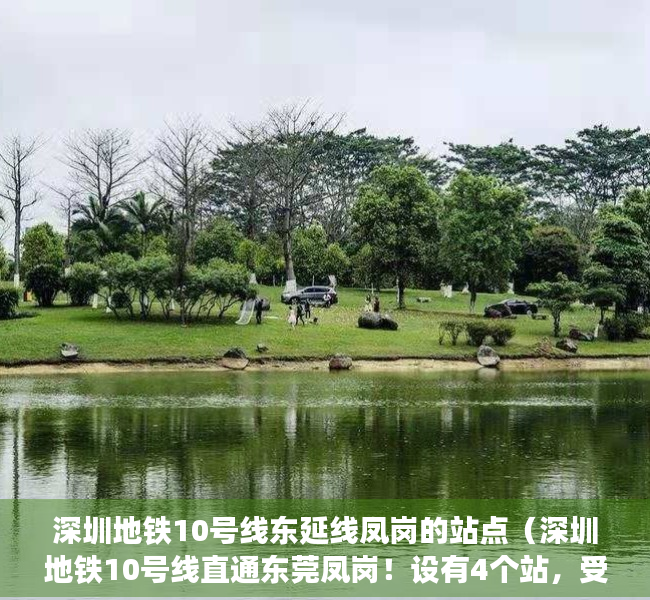 深圳地铁10号线东延线凤岗的站点（深圳地铁10号线直通东莞凤岗！设有4个站，受益的小产权以曝光！）
