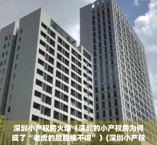 深圳小产权房火爆（深圳的小产权房为何成了“老虎的屁股摸不得”）(深圳小产权房何去何从)