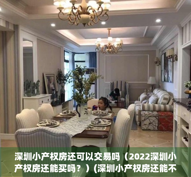 深圳小产权房还可以交易吗（2022深圳小产权房还能买吗？）(深圳小产权房还能不能买)