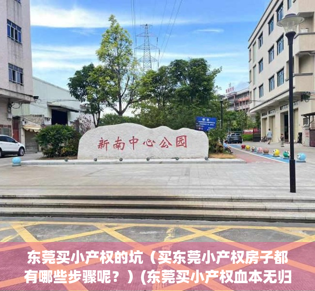 东莞买小产权的坑（买东莞小产权房子都有哪些步骤呢？）(东莞买小产权血本无归)
