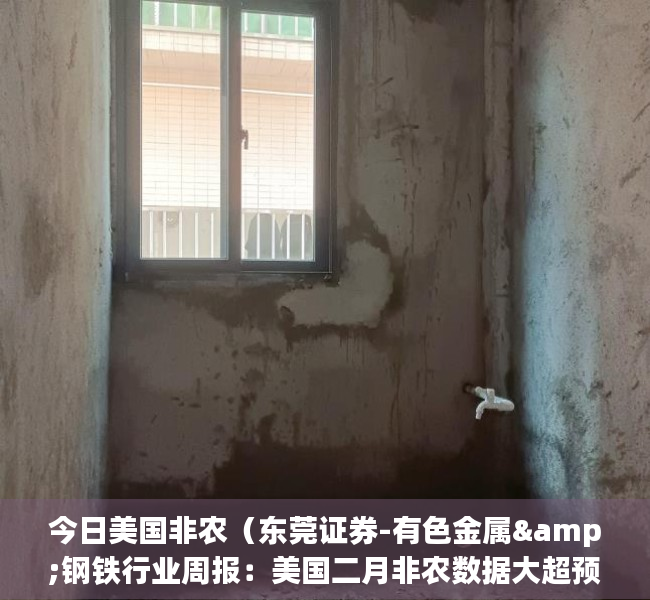 今日美国非农（东莞证券-有色金属&钢铁行业周报：美国二月非农数据大超预期，加息预期下贵金属预计承压-230312）(美国今晚非农数据与白银走势)