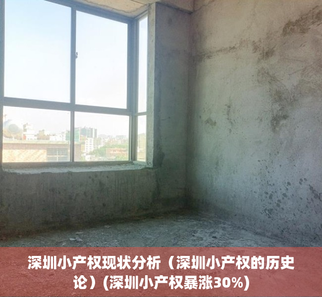 深圳小产权现状分析（深圳小产权的历史论）(深圳小产权暴涨30%)