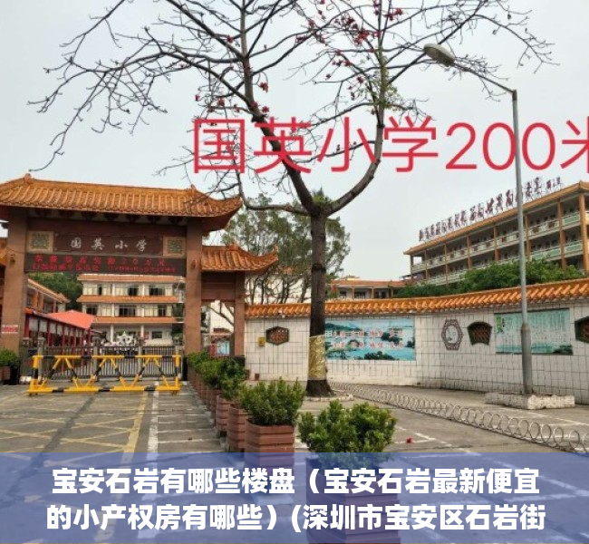宝安石岩有哪些楼盘（宝安石岩最新便宜的小产权房有哪些）(深圳市宝安区石岩街道房价)