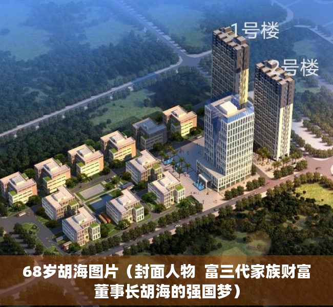 68岁胡海图片（封面人物  富三代家族财富董事长胡海的强国梦）
