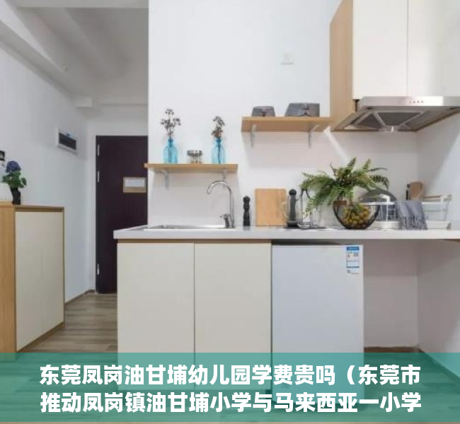 东莞凤岗油甘埔幼儿园学费贵吗（东莞市推动凤岗镇油甘埔小学与马来西亚一小学缔结姐妹学校）