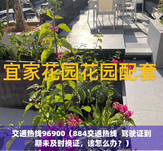 交通热线96900（884交通热线  驾驶证到期未及时换证，该怎么办？）