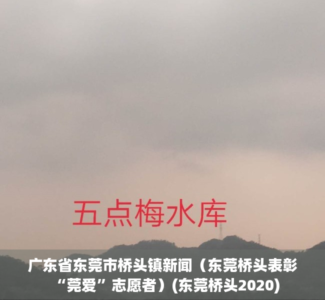 广东省东莞市桥头镇新闻（东莞桥头表彰“莞爱”志愿者）(东莞桥头2020)