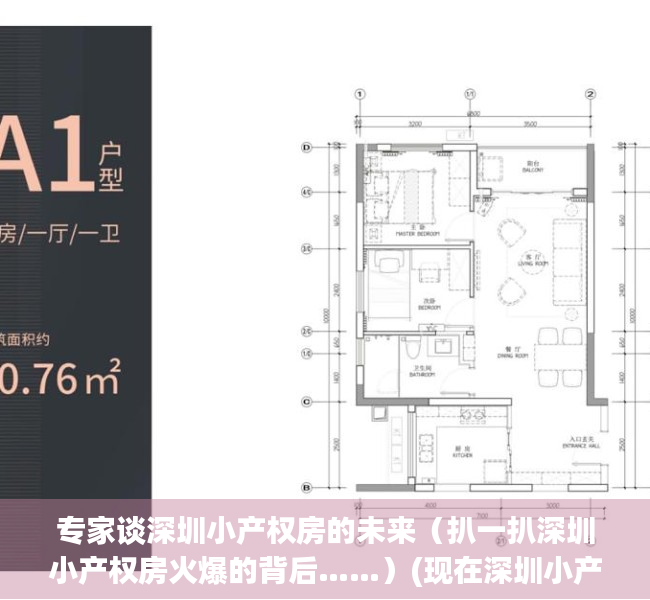 专家谈深圳小产权房的未来（扒一扒深圳小产权房火爆的背后……）(现在深圳小产权房的价格是多少)