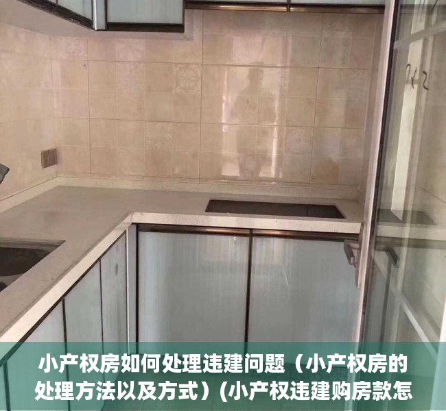 小产权房如何处理违建问题（小产权房的处理方法以及方式）(小产权违建购房款怎么要回)