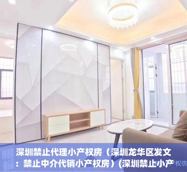 深圳禁止代理小产权房（深圳龙华区发文：禁止中介代销小产权房）(深圳禁止小产权房律师见证)