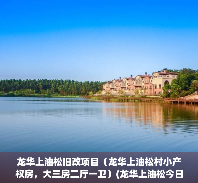 龙华上油松旧改项目（龙华上油松村小产权房，大三房二厅一卫）(龙华上油松今日新闻)