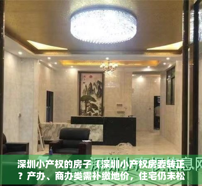 深圳小产权的房子（深圳小产权房要转正？产办、商办类需补缴地价，住宅仍未松绑，但城市旧改或提速）