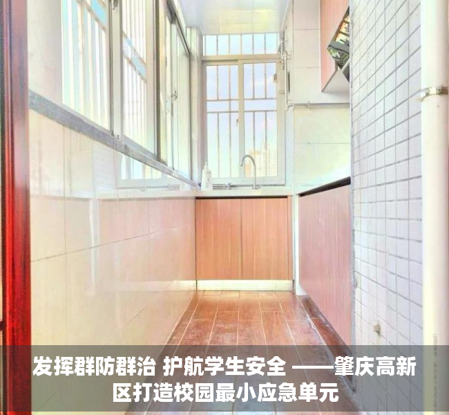 发挥群防群治 护航学生安全 ——肇庆高新区打造校园最小应急单元