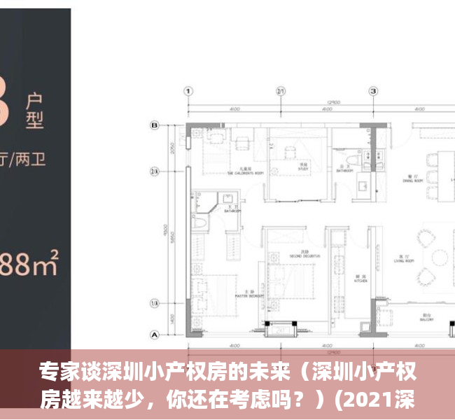 专家谈深圳小产权房的未来（深圳小产权房越来越少，你还在考虑吗？）(2021深圳小产权房会涨价吗)