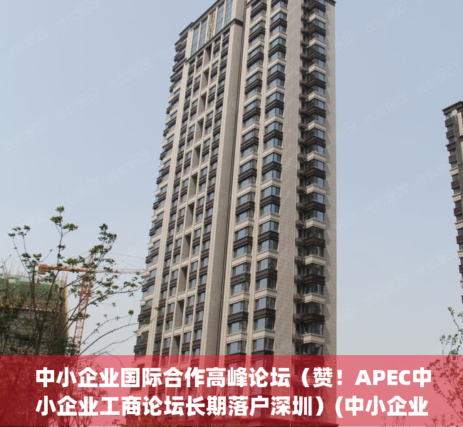 中小企业国际合作高峰论坛（赞！APEC中小企业工商论坛长期落户深圳）(中小企业国际合作促进会)