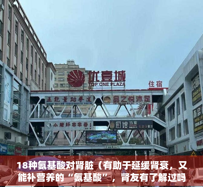18种氨基酸对肾脏（有助于延缓肾衰，又能补营养的“氨基酸”，肾友有了解过吗？）