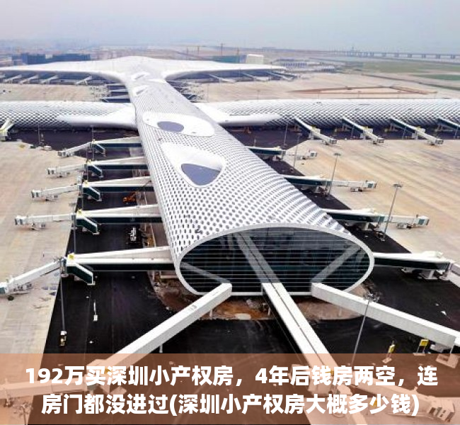 192万买深圳小产权房，4年后钱房两空，连房门都没进过(深圳小产权房大概多少钱)