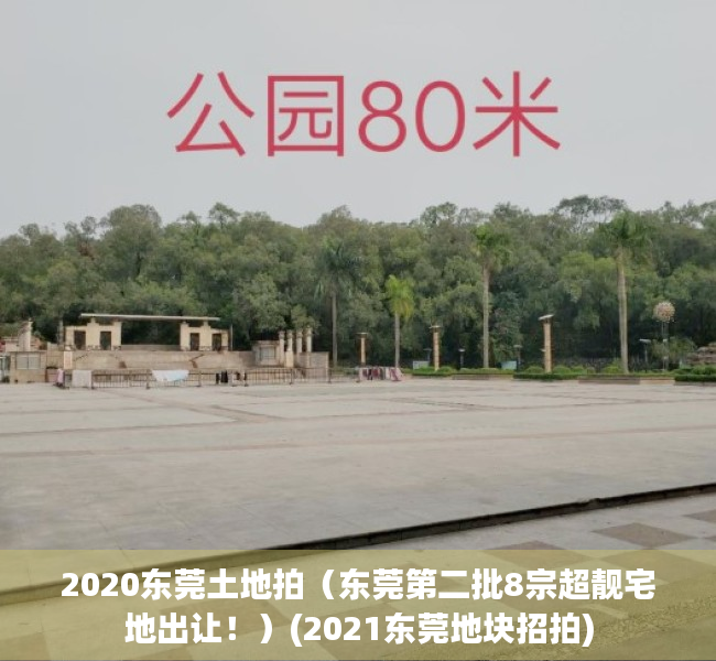 2020东莞土地拍（东莞第二批8宗超靓宅地出让！）(2021东莞地块招拍)