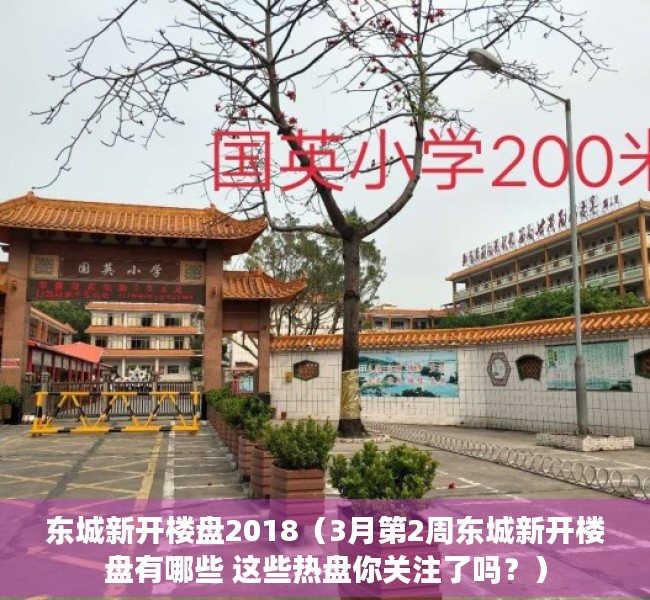 东城新开楼盘2018（3月第2周东城新开楼盘有哪些 这些热盘你关注了吗？）