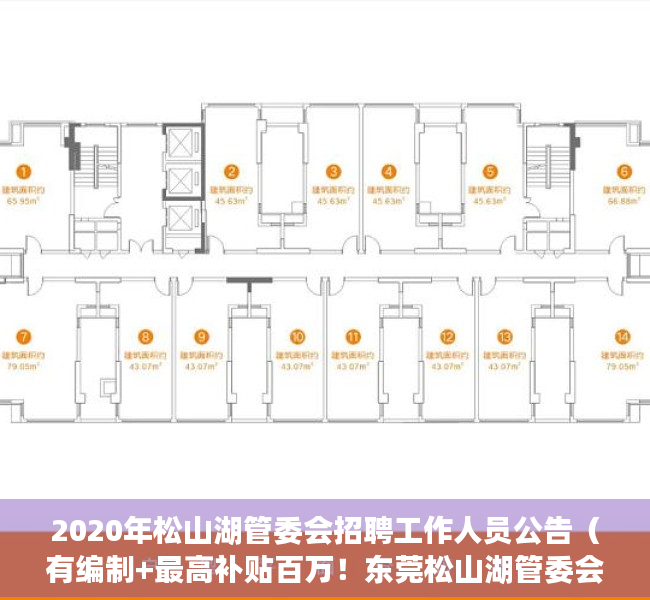 2020年松山湖管委会招聘工作人员公告（有编制+最高补贴百万！东莞松山湖管委会下属事业单位公开招聘博士）