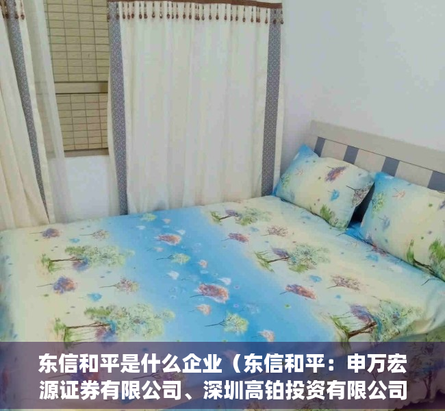 东信和平是什么企业（东信和平：申万宏源证券有限公司、深圳高铂投资有限公司等多家机构于3月15日调研我司）