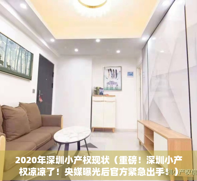 2020年深圳小产权现状（重磅！深圳小产权凉凉了！央媒曝光后官方紧急出手！）