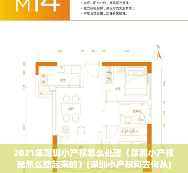 2021年深圳小产权怎么处理（深圳小产权是怎么建起来的）(深圳小产权何去何从)