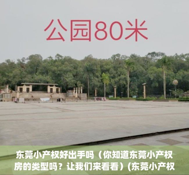 东莞小产权好出手吗（你知道东莞小产权房的类型吗？让我们来看看）(东莞小产权房最新规定官网)