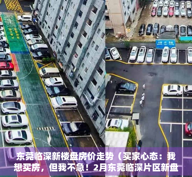 东莞临深新楼盘房价走势（买家心态：我想买房，但我不急！2月东莞临深片区新盘有哪些？）