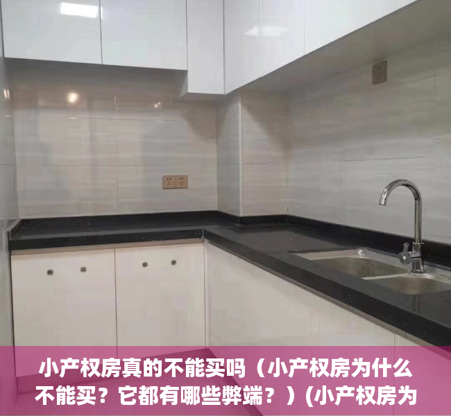 小产权房真的不能买吗（小产权房为什么不能买？它都有哪些弊端？）(小产权房为啥不能买)