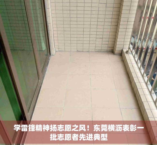 学雷锋精神扬志愿之风！东莞横沥表彰一批志愿者先进典型