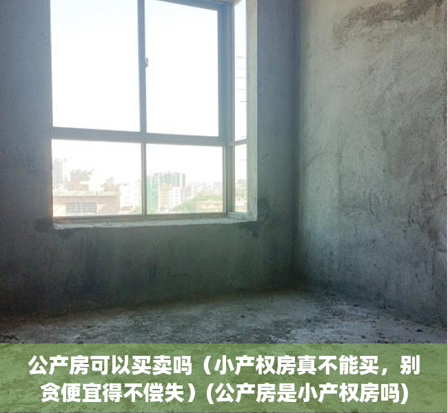 公产房可以买卖吗（小产权房真不能买，别贪便宜得不偿失）(公产房是小产权房吗)