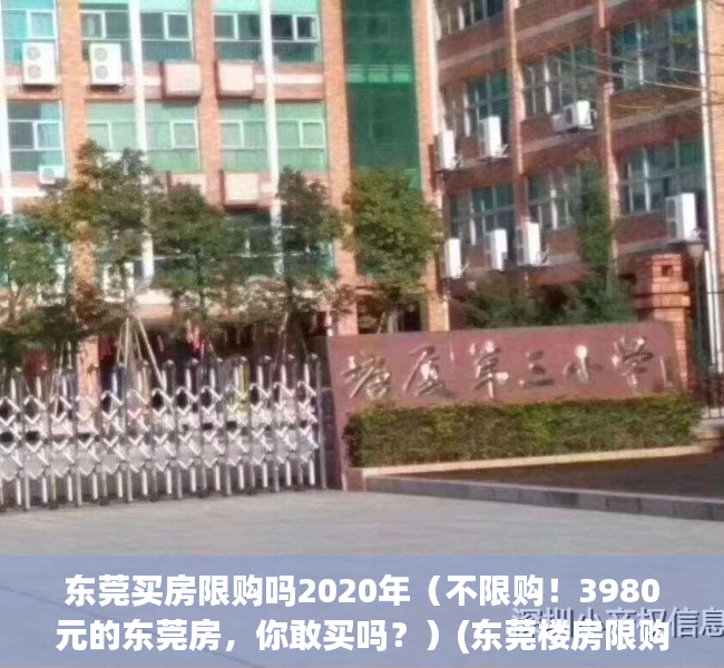 东莞买房限购吗2020年（不限购！3980元的东莞房，你敢买吗？）(东莞楼房限购吗)