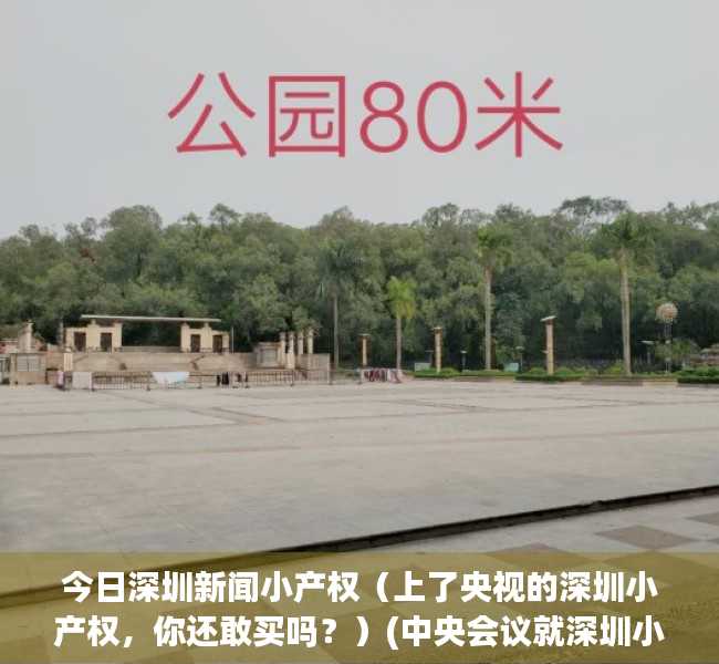 今日深圳新闻小产权（上了央视的深圳小产权，你还敢买吗？）(中央会议就深圳小产权房提出指导意见)