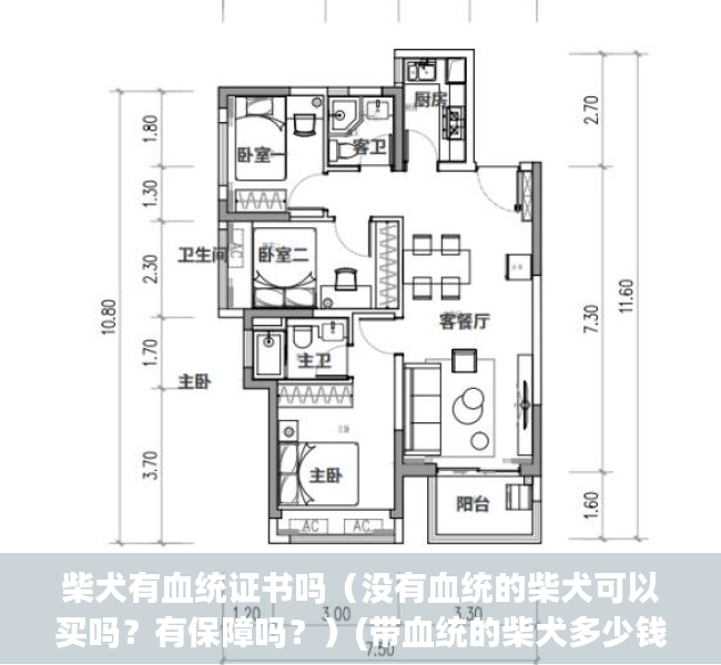 柴犬有血统证书吗（没有血统的柴犬可以买吗？有保障吗？）(带血统的柴犬多少钱)