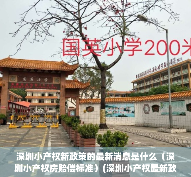 深圳小产权新政策的最新消息是什么（深圳小产权房赔偿标准）(深圳小产权最新政策法规)