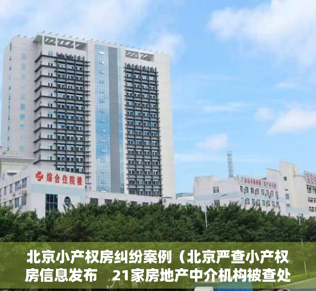 北京小产权房纠纷案例（北京严查小产权房信息发布　21家房地产中介机构被查处）