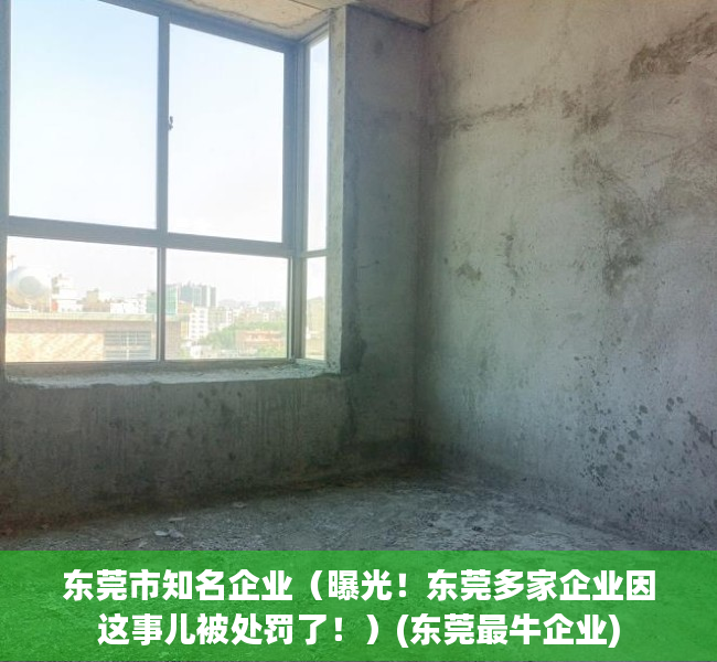 东莞市知名企业（曝光！东莞多家企业因这事儿被处罚了！）(东莞最牛企业)
