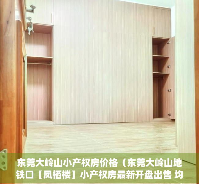 东莞大岭山小产权房价格（东莞大岭山地铁口【凤栖楼】小产权房最新开盘出售 均价4580元起）